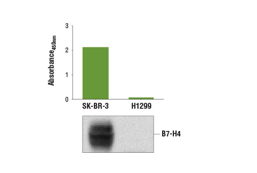 PathScan Total B7-H4 Sandwich ELISA Kit 1 kit