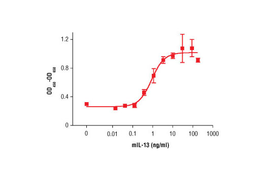 Mouse Interleukin-13 (mIL-13) 5 µg