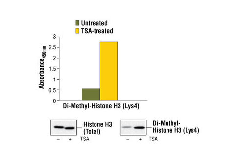 PathScan Di-Methyl-Histone H3 (Lys4) Sandwich ELISA Kit 1 kit