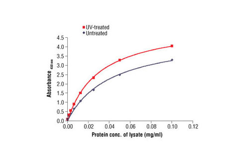 PathScan Total p53 Sandwich ELISA Antibody Pair 1 kit