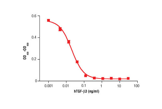 Human Transforming Growth Factor beta3 (hTGF-beta3) 10 µg