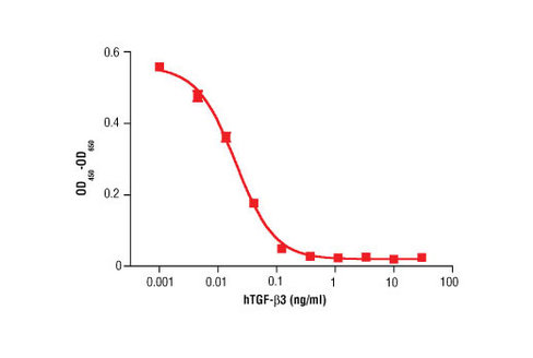 Human Transforming Growth Factor beta3 (hTGF-beta3) 10 µg