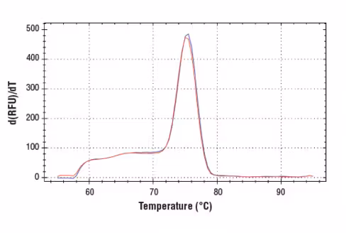 SimpleChIP Mouse PDX1 Promoter Primers 500 µl
