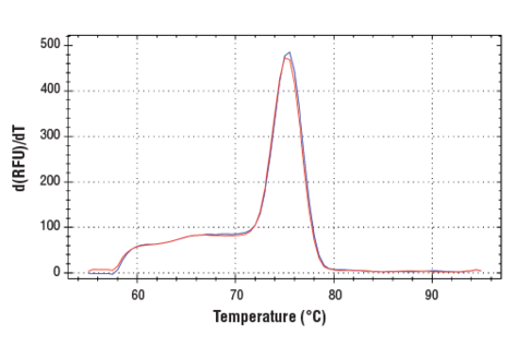 SimpleChIP Mouse PDX1 Promoter Primers 500 µl