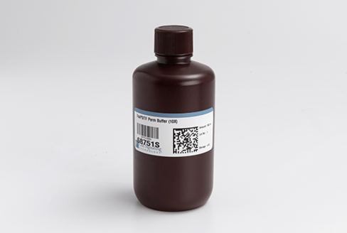 FoxP3/Transcription Factor Permeabilization Buffer (10X) 150 mL