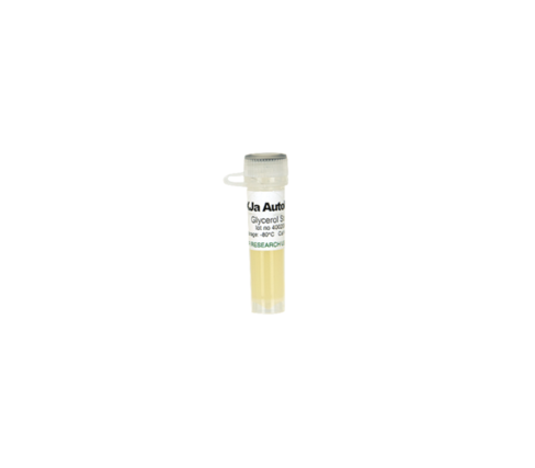 XJa Autolysis Glycerol Stock (Add 1 ml 500x Arabinose) 1 Tube