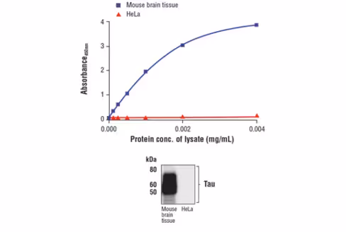 FastScan Total Tau ELISA Kit 1 kit