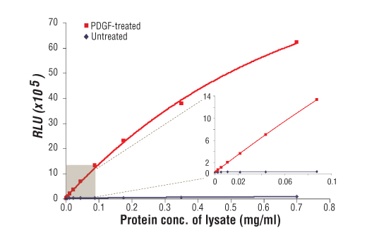 PathScan Phospho-Akt (Thr308) Chemiluminescent Sandwich ELISA Kit 1 kit