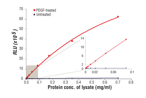 PathScan Phospho-Akt (Thr308) Chemiluminescent Sandwich ELISA Kit 1 kit