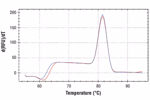 SimpleChIP Human EIF4G1 Intron 8 Primers 500 µl
