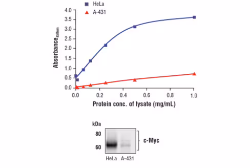 FastScan Total c-Myc ELISA Kit 1 kit