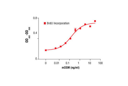 Mouse Oncostatin M (mOSM) 25 µg
