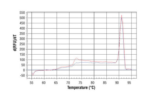 SimpleChIP Human HSPA6 Promoter Primers 500 µl