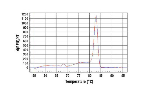 SimpleChIP Human StAR Intron 1 Primers 500 µl