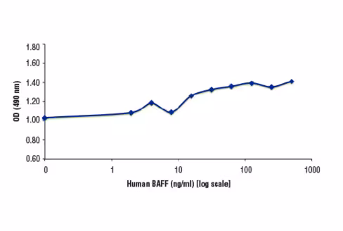 Human BAFF/TNFSF13B (hBAFF) 20 µg