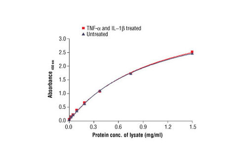 PathScan Total IkappaBalpha Sandwich ELISA Antibody Pair 1 kit