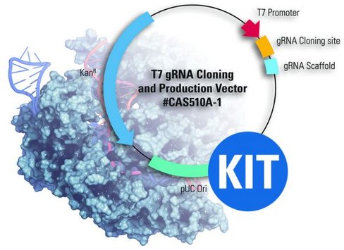 Cas9-EGFP Protein and T7 gRNA SmartNuclease Synthesis Kit 10 réactions