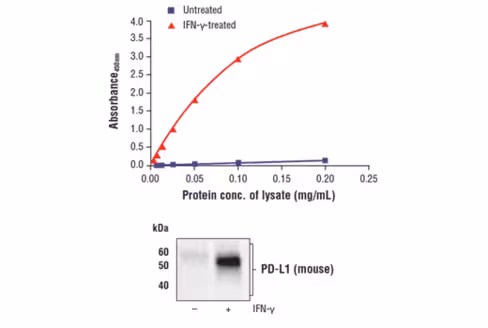 FastScan Total PD-L1 ELISA Kit (Mouse Preferred) 1 kit