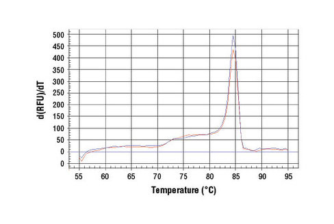 SimpleChIP Human HSP90beta Promoter Primers 500 µl