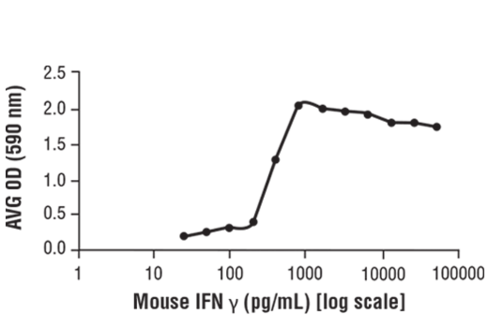 Mouse Interferon-gamma (mIFN-gamma) 100 µg