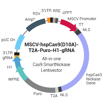 Cas9 Nickase: MSCV-hspCas9(D10A)-T2A-Puro-H1-gRNA linearized all-in-one SmartNuclease Lentivector Plasmid (CRISPR) 10