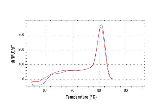 SimpleChIP Mouse Intracisternal A-Particle (IAP) LTR Primers 500 µl