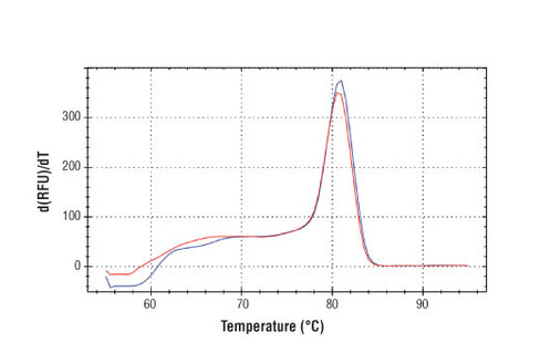 SimpleChIP Mouse Intracisternal A-Particle (IAP) LTR Primers 500 µl