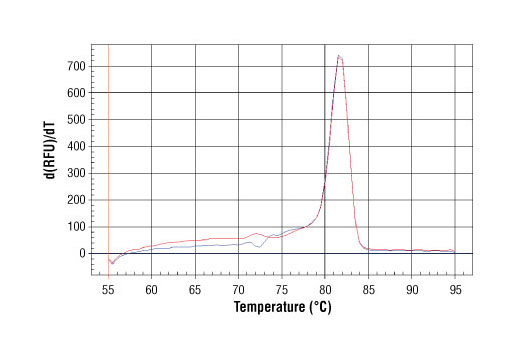 SimpleChIP Human MYT-1 Exon 1 Primers 500 µl