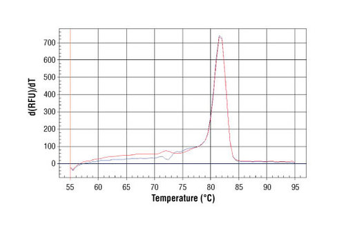 SimpleChIP Human MYT-1 Exon 1 Primers 500 µl