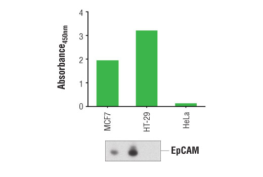 PathScan Total EpCAM Sandwich ELISA Kit 1 kit