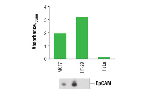 PathScan Total EpCAM Sandwich ELISA Kit 1 kit