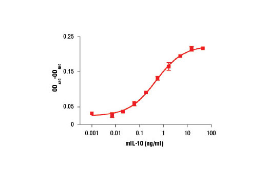 Mouse Interleukin-10 (mIL-10) 10 µg