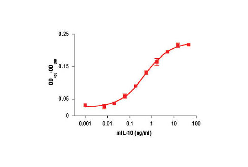Mouse Interleukin-10 (mIL-10) 10 µg