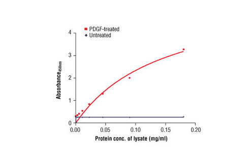 PathScan Phospho-PDGF Receptor beta (Tyr751) Sandwich ELISA Antibody Pair 1 kit