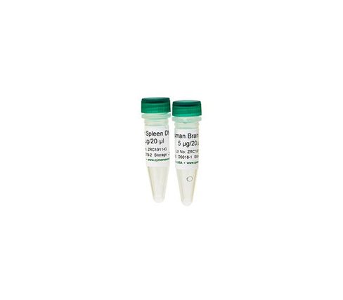Human Matched DNA Set 1 set