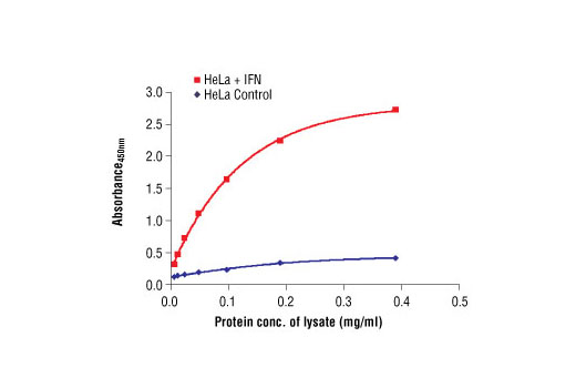 PathScan Phospho-Stat3 (Tyr705) Sandwich ELISA Antibody Pair 1 kit