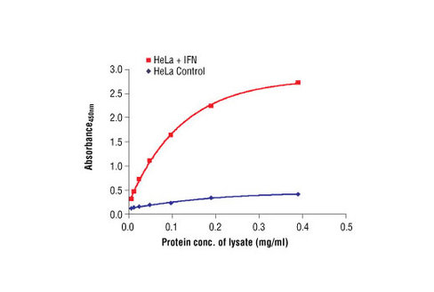 PathScan Phospho-Stat3 (Tyr705) Sandwich ELISA Antibody Pair 1 kit