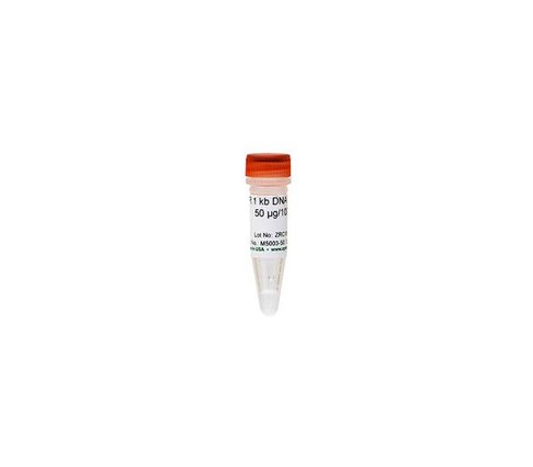 ZR 1 kb DNA Marker (Ready-to-load) 50 µg, 600 µl