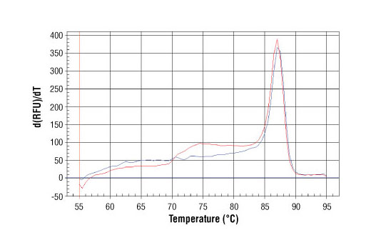 SimpleChIP Mouse CIS Intron 1 Primers 500 µl