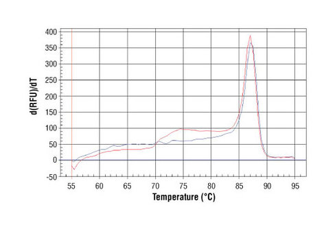 SimpleChIP Mouse CIS Intron 1 Primers 500 µl