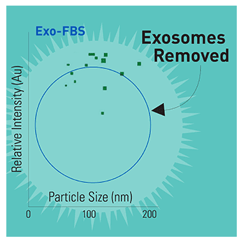 Exosome-depleted FBS Media Supplement Heat Inactivated - USA Certified 50 ml