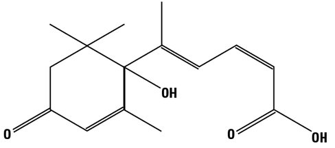 CLOuD9 Inducer Reagent (1000X) - 200 ul