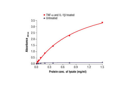 PathScan Phospho-IkappaBalpha (Ser32) Sandwich ELISA Antibody Pair 1 kit