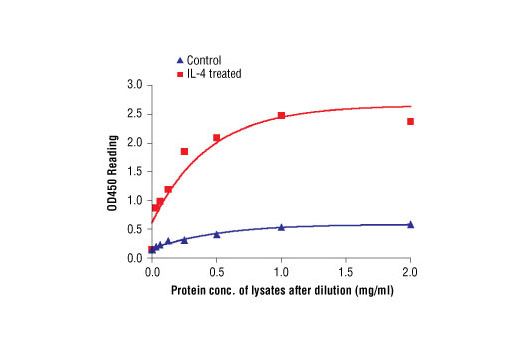 PathScan Phospho-cdc2 (Tyr15) Sandwich ELISA Kit 1 kit