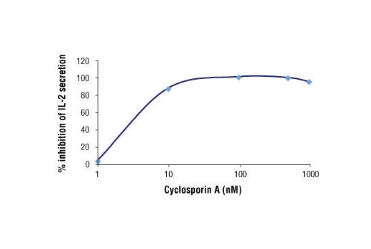 Cyclosporin A 100 mg