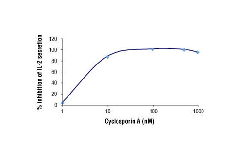 Cyclosporin A 100 mg