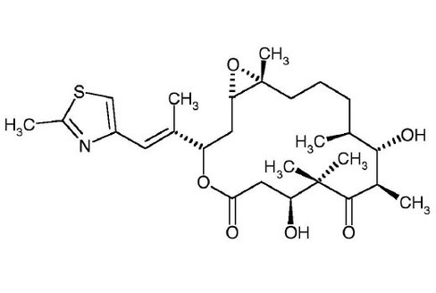 Epothilone B 100 µg