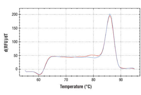 SimpleChIP Human LENG8 5' UTR Primers 500 µl