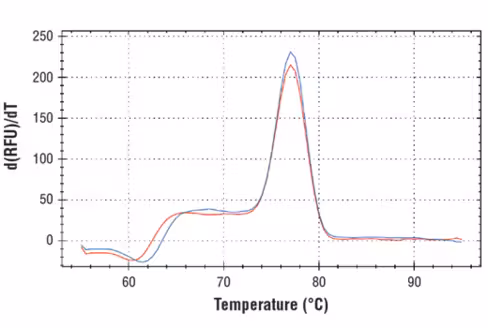 SimpleChIP Human HUWE1 Intron 26 Control Primers 500 µl