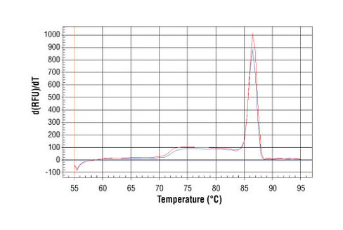 SimpleChIP Human TAP1 Promoter Primers 500 µl